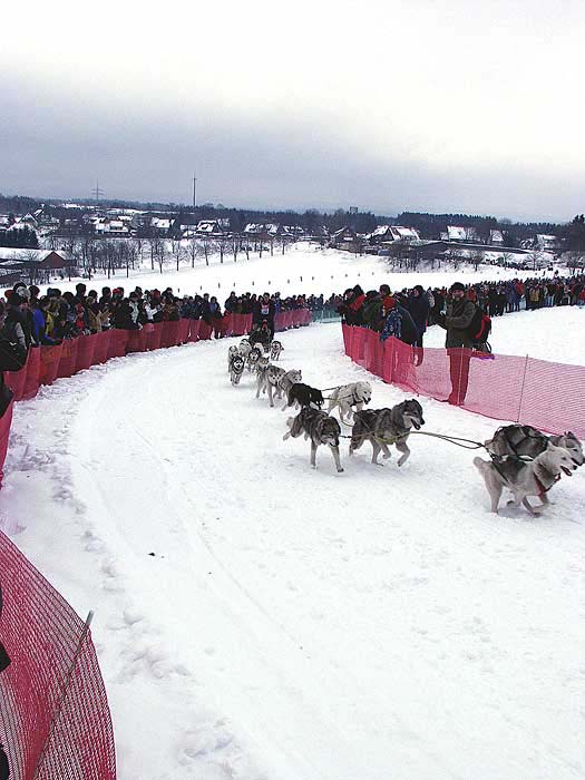 2003 schlittenhunde003.jpg